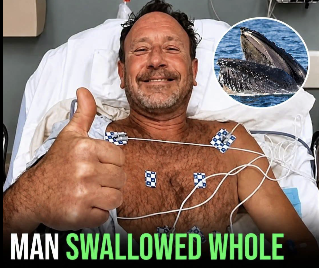 Man swallowed by humpback whale for 30 seconds shares how he escaped
